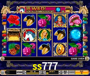 Roulette Table ss777